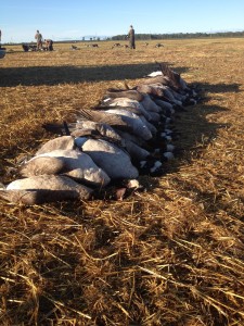 Seven hunters. 45 birds. One great morning.