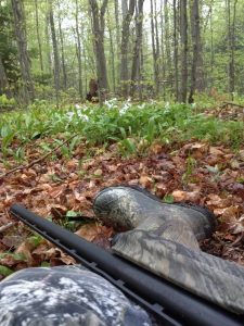 Spring greenery and Ontario trilliums are calling me.